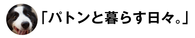 ボーダーコリーのブログ「パトンと暮らす日々。」