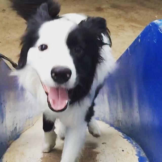 滑り台も登れるようになったよん！